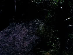 4x09-PastImperfect_003845