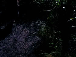 4x09-PastImperfect_003846