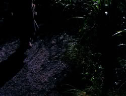 4x09-PastImperfect_003847