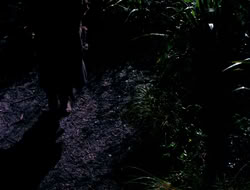 4x09-PastImperfect_003848