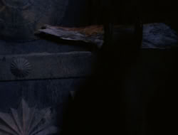 4x10-TheKeytotheKingdom_000229