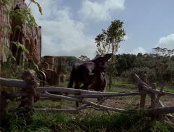 4x10-TheKeytotheKingdom_002019
