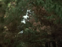 4x10-TheKeytotheKingdom_002023