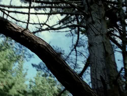 4x10-TheKeytotheKingdom_002060