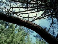 4x10-TheKeytotheKingdom_002061