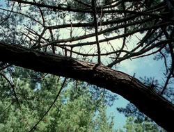 4x10-TheKeytotheKingdom_002062