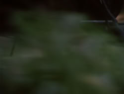 4x10-TheKeytotheKingdom_002076