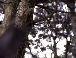 4x10-TheKeytotheKingdom_002089