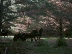 4x10-TheKeytotheKingdom_002129