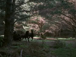 4x10-TheKeytotheKingdom_002147