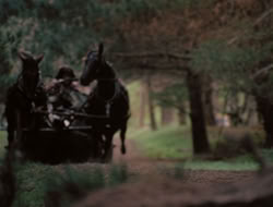 4x10-TheKeytotheKingdom_002187