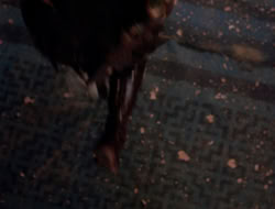 4x10-TheKeytotheKingdom_002997