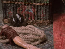 extant_XenaWarriorPrincess_4x14_Devi_00317