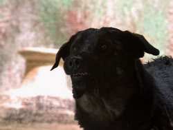 extant_XenaWarriorPrincess_4x14_Devi_01762
