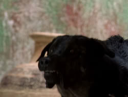 extant_XenaWarriorPrincess_4x14_Devi_01769