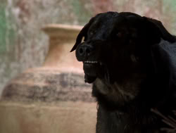 extant_XenaWarriorPrincess_4x14_Devi_01770