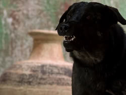 extant_XenaWarriorPrincess_4x14_Devi_01774