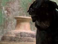 extant_XenaWarriorPrincess_4x14_Devi_01775