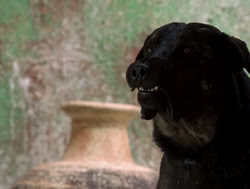 extant_XenaWarriorPrincess_4x14_Devi_01776