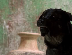 extant_XenaWarriorPrincess_4x14_Devi_01777