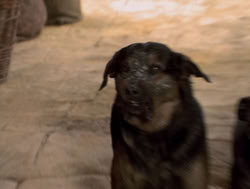 extant_XenaWarriorPrincess_4x14_Devi_01786