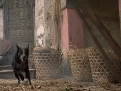 extant_XenaWarriorPrincess_4x14_Devi_01805