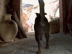 extant_XenaWarriorPrincess_4x14_Devi_01811