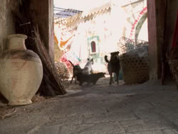 extant_XenaWarriorPrincess_4x14_Devi_01817