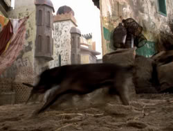 extant_XenaWarriorPrincess_4x14_Devi_01842