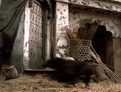 extant_XenaWarriorPrincess_4x14_Devi_01868
