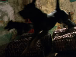 extant_XenaWarriorPrincess_4x14_Devi_01882