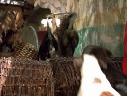 extant_XenaWarriorPrincess_4x14_Devi_01883