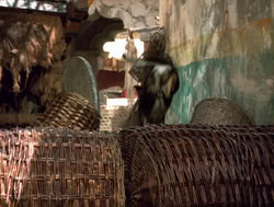 extant_XenaWarriorPrincess_4x14_Devi_01885