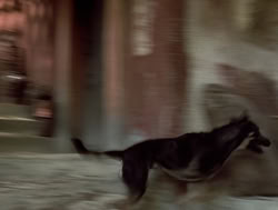 extant_XenaWarriorPrincess_4x14_Devi_01887