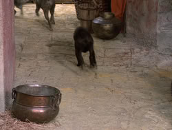 extant_XenaWarriorPrincess_4x14_Devi_01941