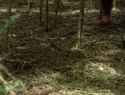 extant_XenaWarriorPrincess_4x14_Devi_02801