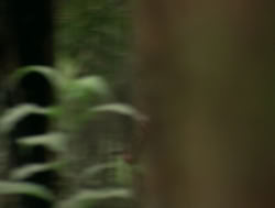 extant_XenaWarriorPrincess_4x14_Devi_02812
