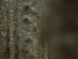 extant_XenaWarriorPrincess_4x14_Devi_02816