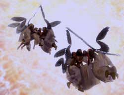 extant_XenaWarriorPrincess_5x01-FallenAngel_00367