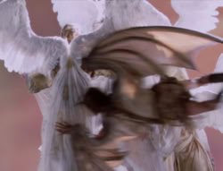 extant_XenaWarriorPrincess_5x01-FallenAngel_00406