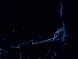 extant_XenaWarriorPrincess_5x01-FallenAngel_01077