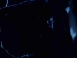 extant_XenaWarriorPrincess_5x01-FallenAngel_01079