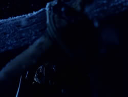 extant_XenaWarriorPrincess_5x01-FallenAngel_01084