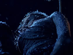 extant_XenaWarriorPrincess_5x01-FallenAngel_01114