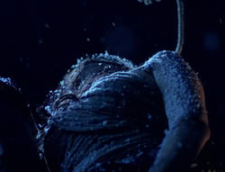 extant_XenaWarriorPrincess_5x01-FallenAngel_01115