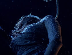 extant_XenaWarriorPrincess_5x01-FallenAngel_01116