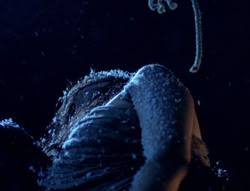 extant_XenaWarriorPrincess_5x01-FallenAngel_01117