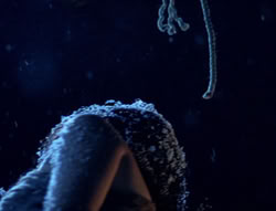 extant_XenaWarriorPrincess_5x01-FallenAngel_01119