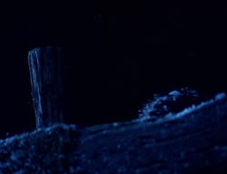 extant_XenaWarriorPrincess_5x01-FallenAngel_01126