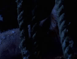 extant_XenaWarriorPrincess_5x01-FallenAngel_01162